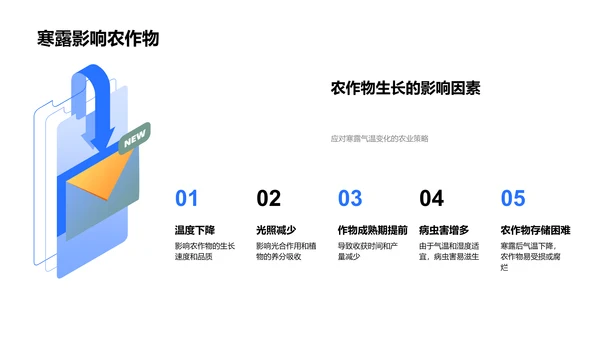 寒露期农业影响解析PPT模板