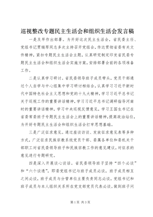 巡视整改专题民主生活会和组织生活会发言稿.docx