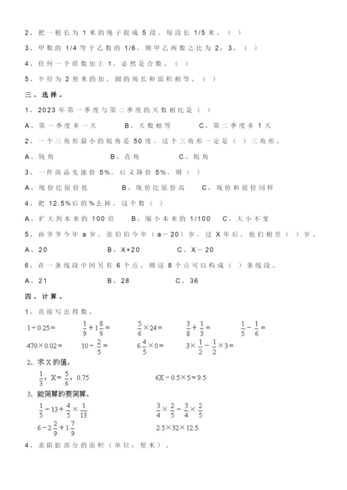 2023年新版小升初数学试卷及答案人教版.docx