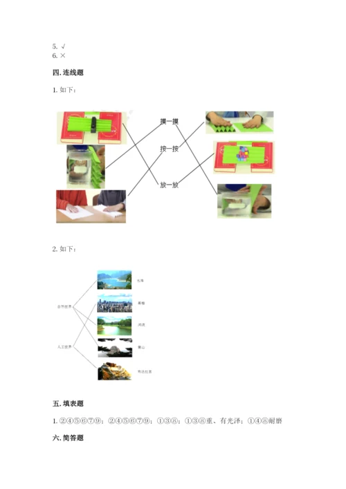 教科版科学二年级上册《期末测试卷》【培优】.docx