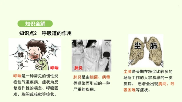 第四单元-第三章-第一节-呼吸道对空气的处理课件-2024-2025学年七年级生物下学期人教版(20