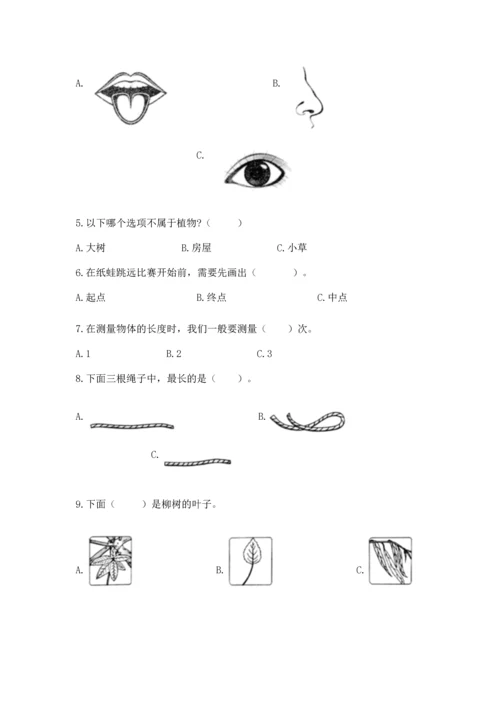 教科版一年级上册科学期末测试卷精品（基础题）.docx