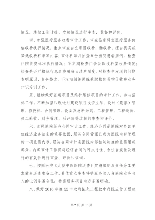 医院内部审计方案.docx