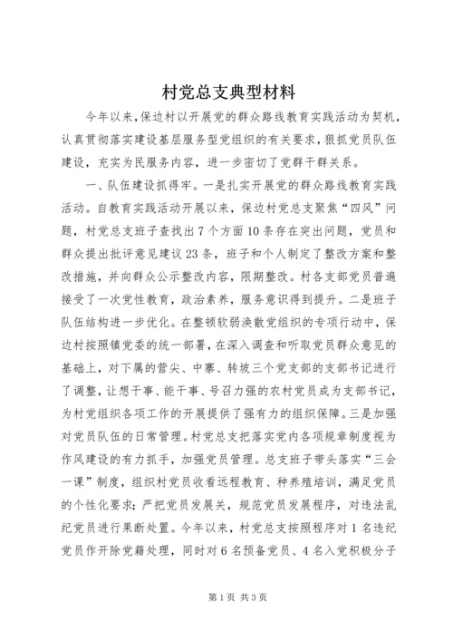 村党总支典型材料 (2).docx