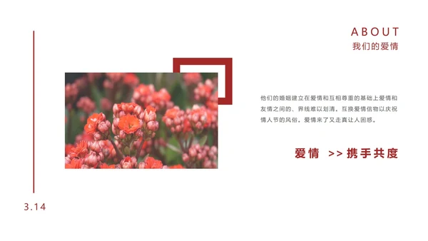 粉色优雅花卉白色情人节PPT模板