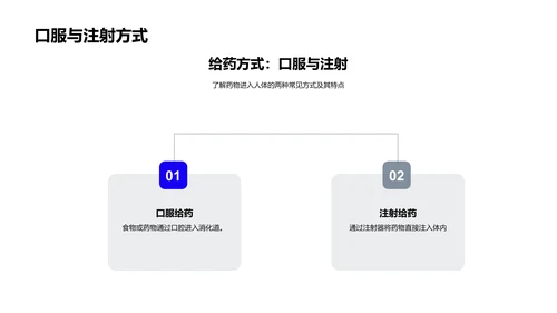 药物与人体反应PPT模板