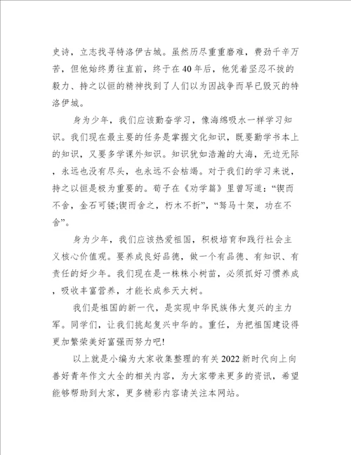 新时代向上向善好青年作文大全