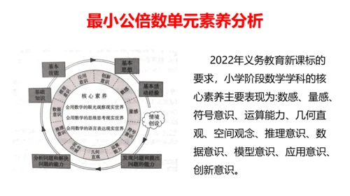 人教版五年数学下册大单元备课——最小公倍数课件(共55张PPT)