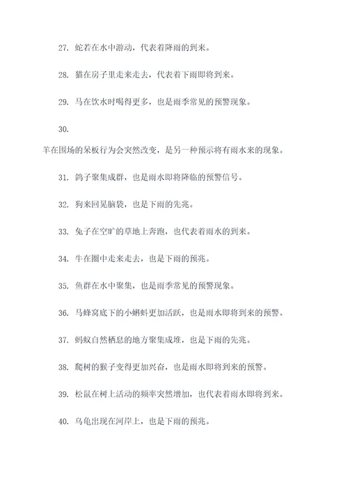 下雨先兆的动物谚语