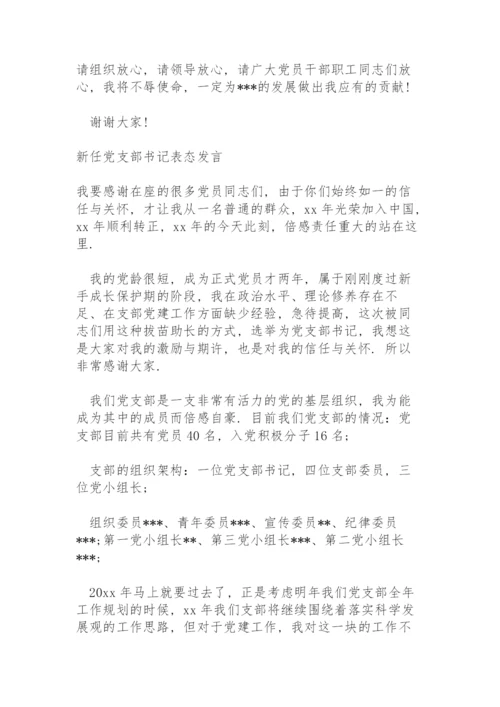 新任党支部书记表态发言.docx