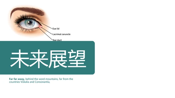 医疗眼科学动态PPT