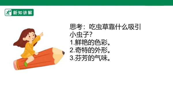 第二课《吃虫草》课件