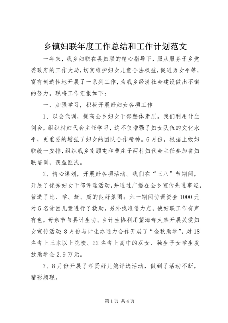 乡镇妇联年度工作总结和工作计划范文.docx