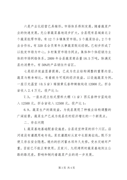 县蔬菜产业开发情况调研报告.docx