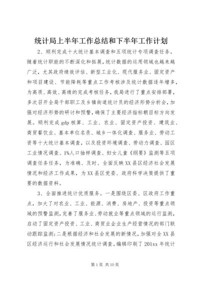 统计局上半年工作总结和下半年工作计划.docx