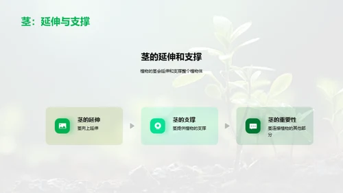 植物生命奇迹