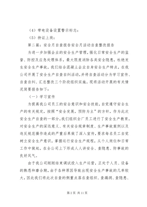 安全月自查报告.docx