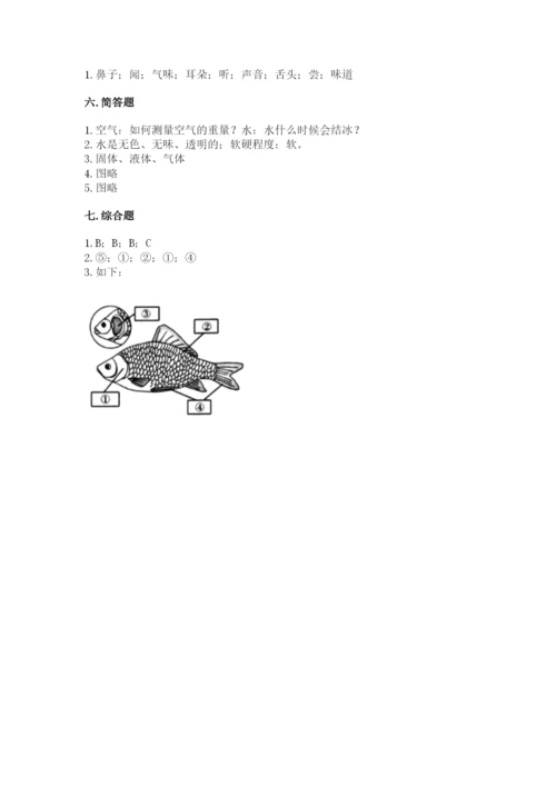 教科版一年级下册科学期末测试卷附答案（达标题）.docx
