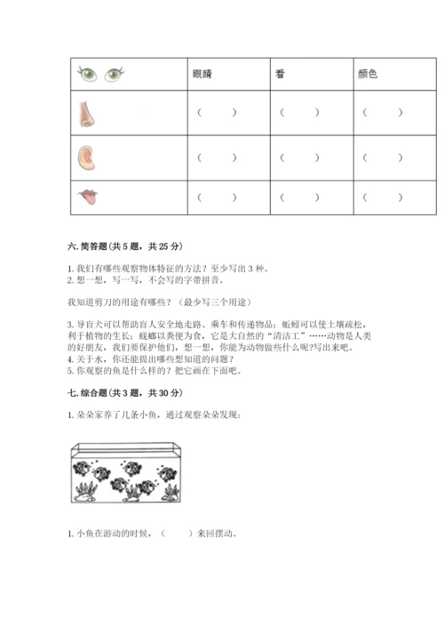 教科版一年级下册科学期末测试卷含答案（培优b卷）.docx