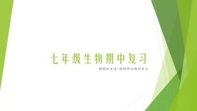 人教版生物七年级上册期中复习课件(共19张PPT)