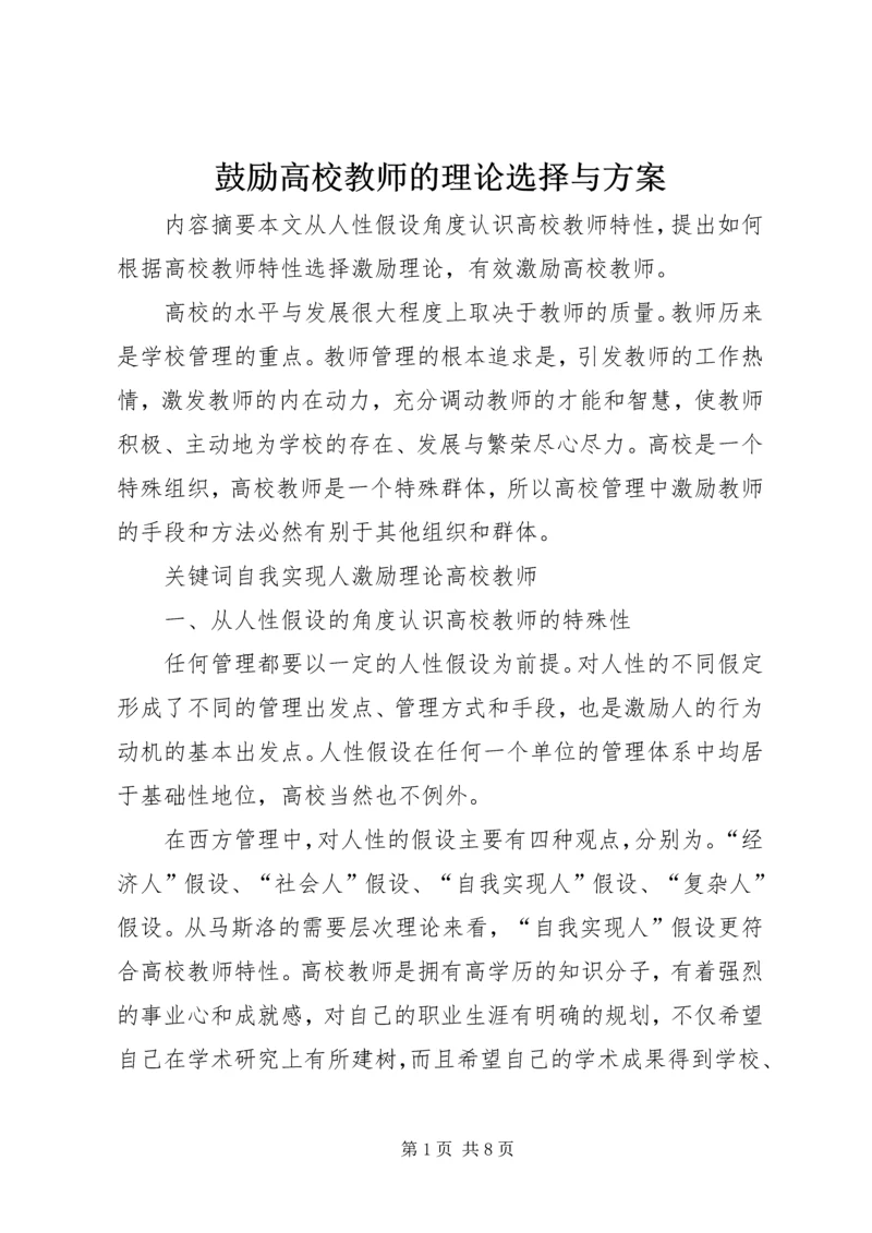 鼓励高校教师的理论选择与方案.docx