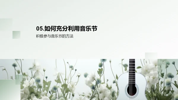 音乐节的探索与体验