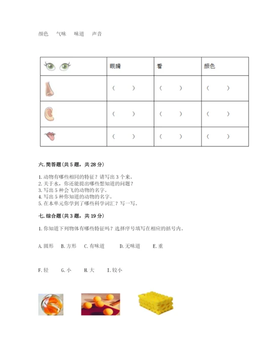 教科版一年级下册科学期末测试卷带答案（夺分金卷）.docx