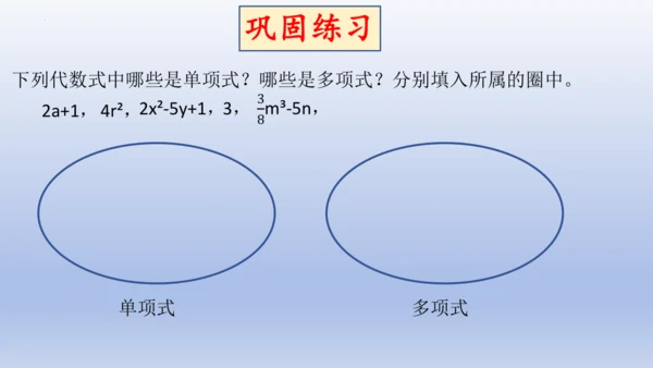 4.1 整式   课件-2024-2025学年人教版数学七年级上册