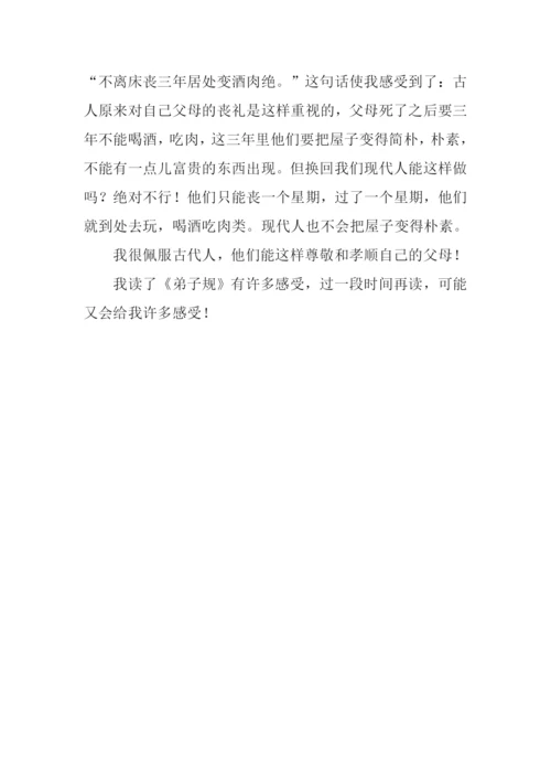 弟子规读后感300字.docx