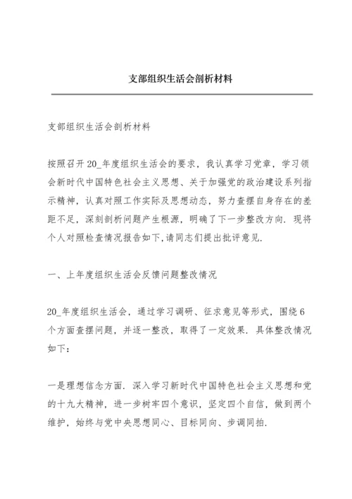 支部组织生活会剖析材料.docx