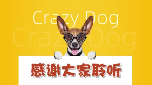 宠物狗疯狂动物园通用PPT模板