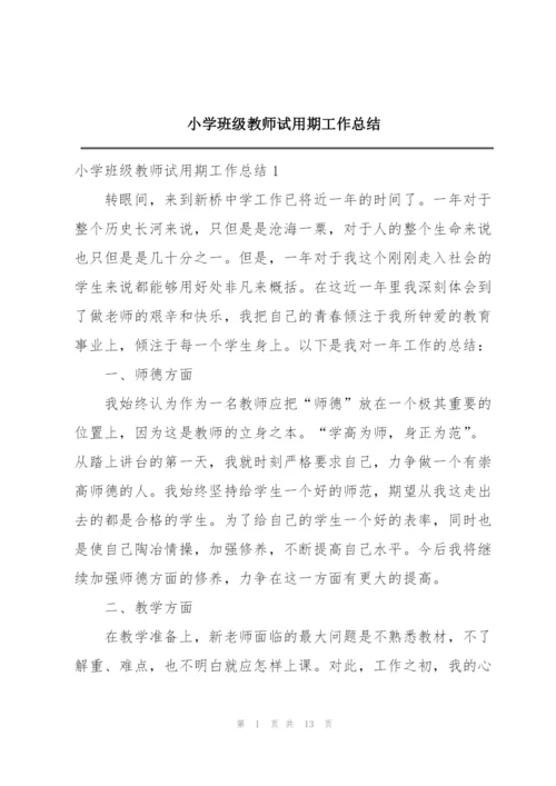 小学班级教师试用期工作总结.docx