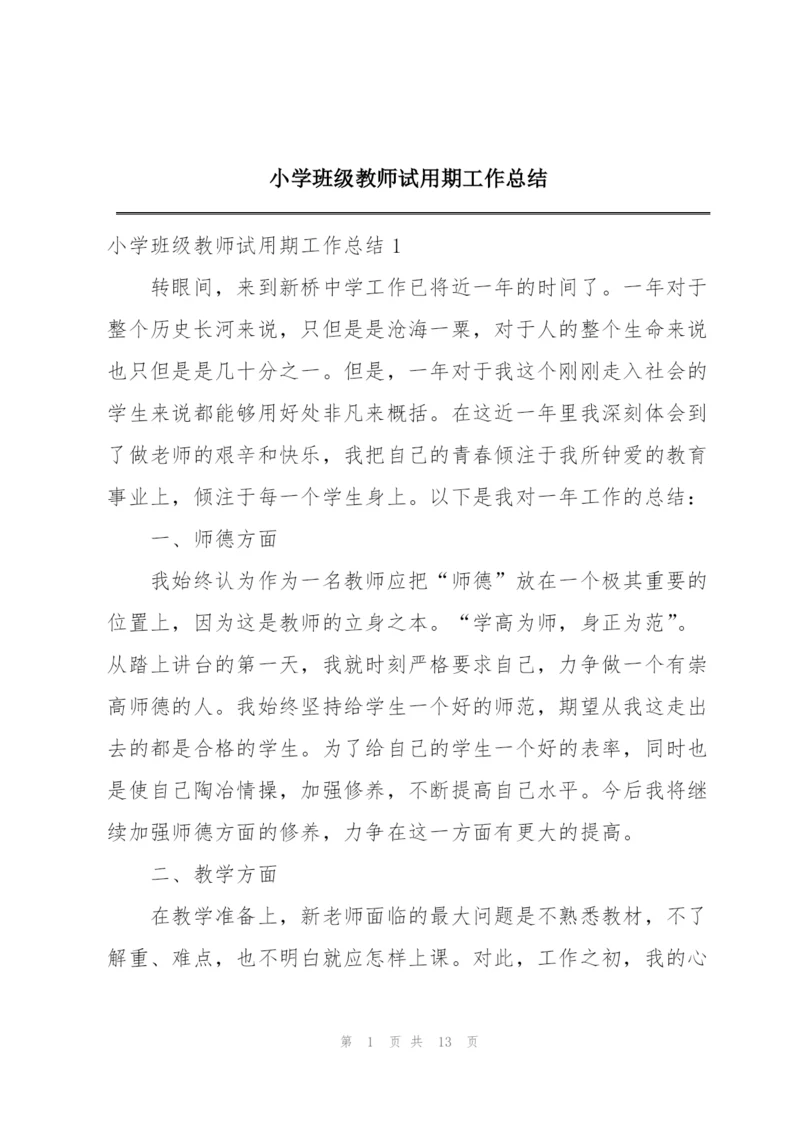 小学班级教师试用期工作总结.docx