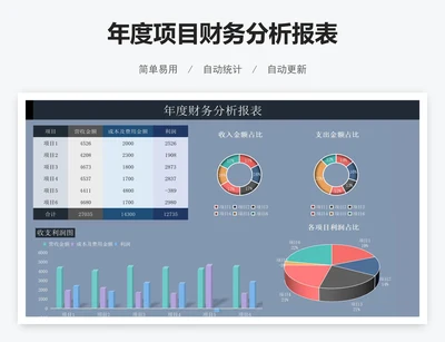 年度项目财务分析报表