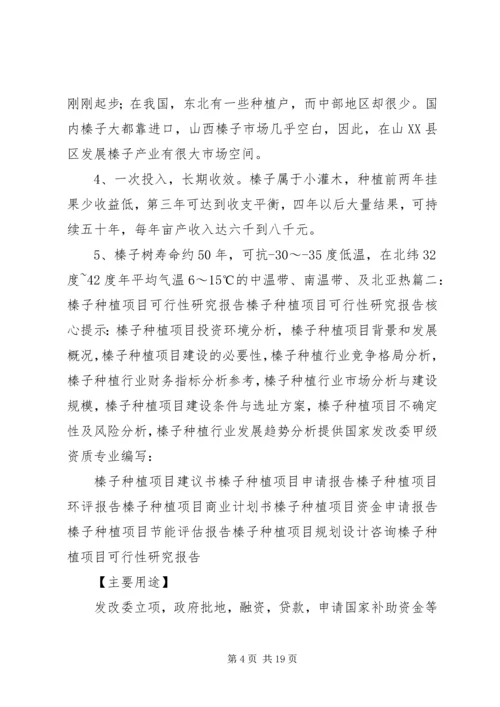 大榛子栽植可行性报告.docx