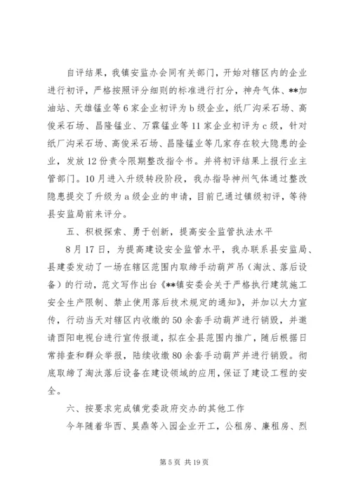 乡镇安监工作个人总结.docx