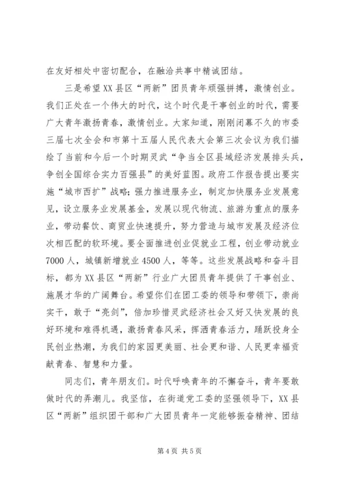 团市委副书记王金京在XX县区“两新”组织团工委成立大会上的讲话.docx