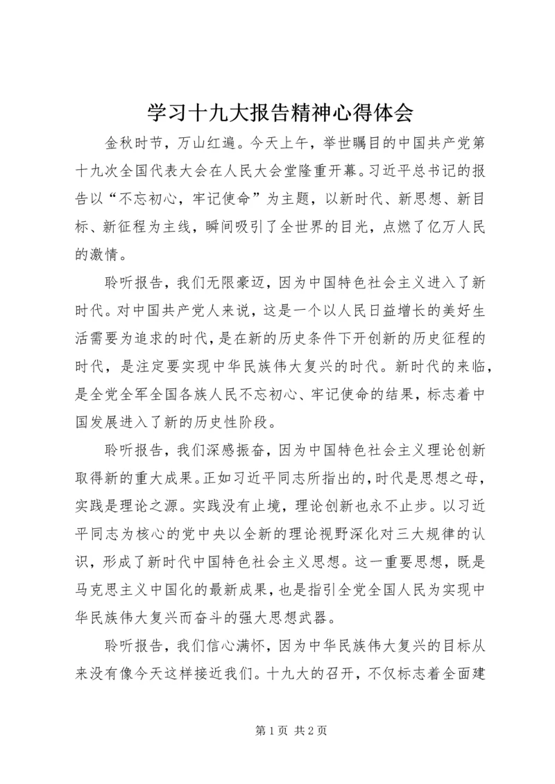 学习十九大报告精神心得体会 (4).docx