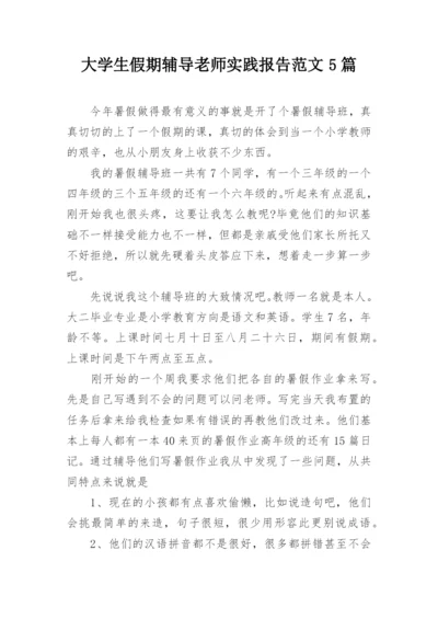 大学生假期辅导老师实践报告范文5篇.docx