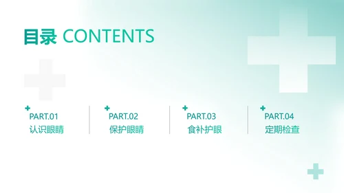 简约风格绿色医疗保健眼睛保护知识科普PPT