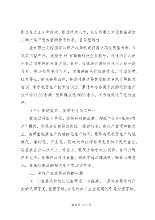 天台镇金坪山村调研报告 (4).docx