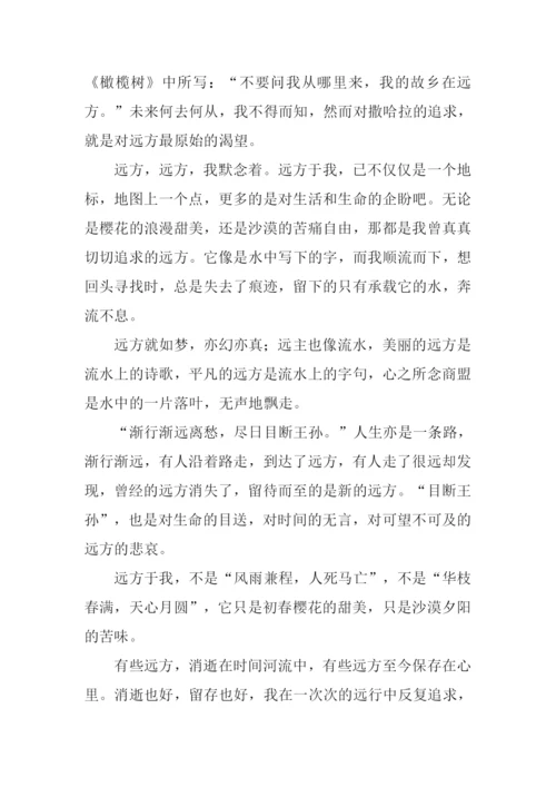 梦在远方初中作文.docx