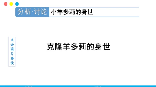 人教版（新课程标准）（2024）1.2.4细胞的生活(共41张PPT)