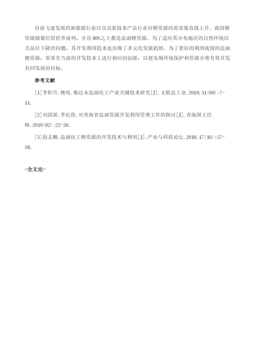 开发和利用盐湖化工锂资源的技术要点分析.docx