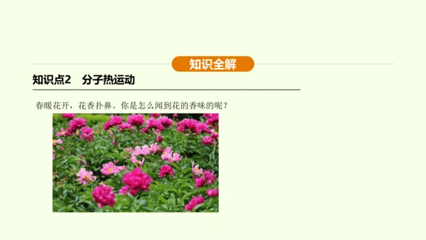 人教版 初中物理 九年级全册 第十三章 内能 13.1 分子热运动课件（35页ppt）