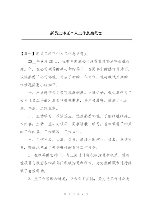 新员工转正个人工作总结范文.docx