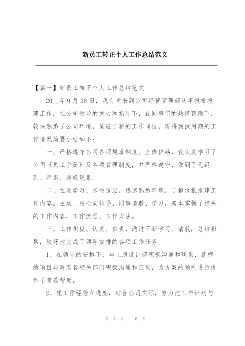 新员工转正个人工作总结范文.docx