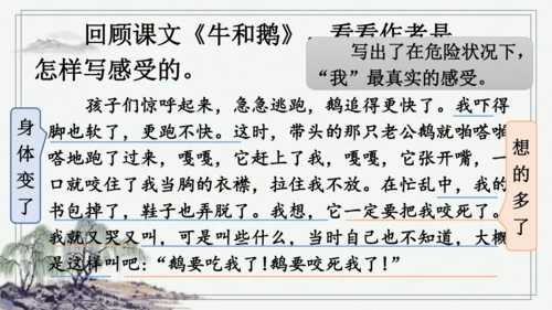 部编版四年级上册语文 习作：我的心儿怦怦跳 课件