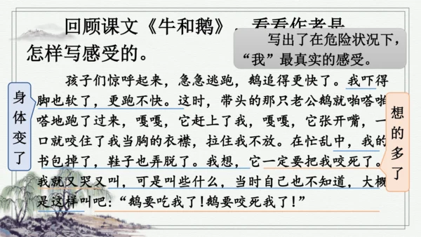 部编版四年级上册语文 习作：我的心儿怦怦跳 课件