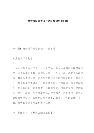 高级经济师专业技术工作总结(多篇).docx